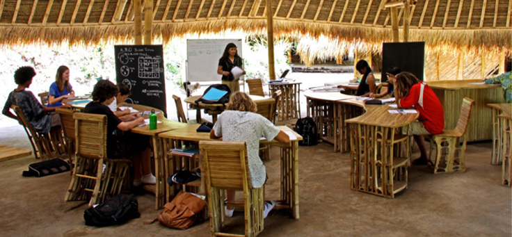 Imagem mostra grupo de alunos e professora estudando num ambiente com cadeiras rústicas e palha.