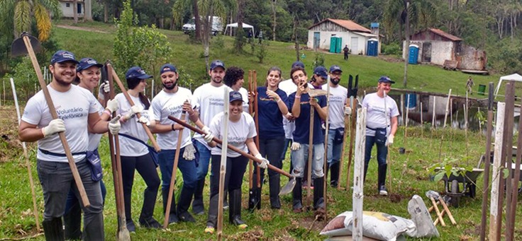 Voluntários trabalham em plantação de árvores