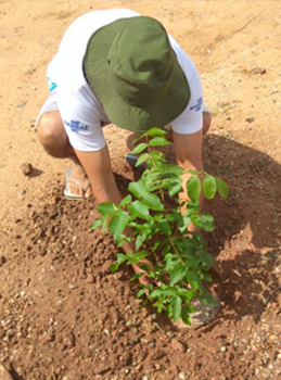 Imagem mostra estudante plantando na horta