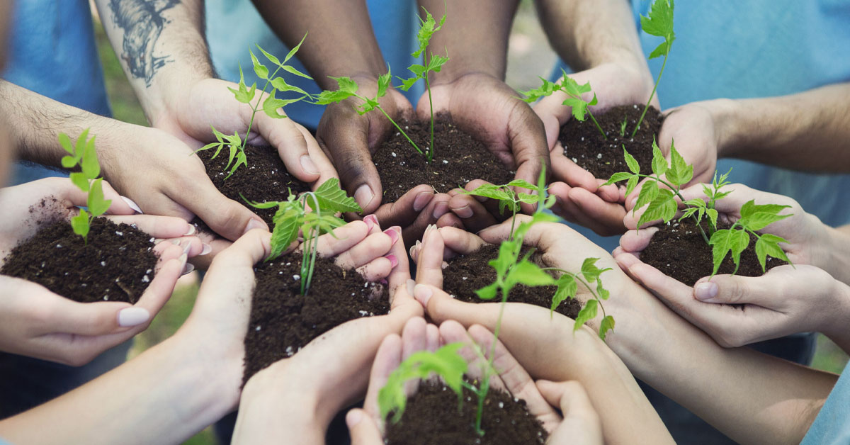 Imagem mostra as mãos de sete pessoas reunidas. Todas estão segurando punhados de terra com pequenas mudas de plantas.