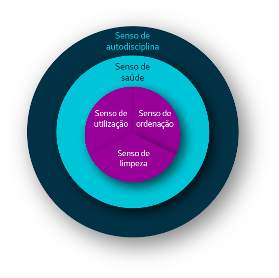 A imagem mostra um desenho em forma de círculo explicando como os cinco sensos se relacionam na metodologia 5S