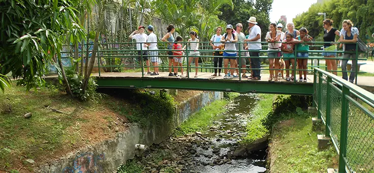 Participantes de caminhada do Rios e Ruas estão em cima de ponte sobre um córrego da cidade de São Paulo. O projeto é um dos que remodelam a relação entre pessoas e cidades.